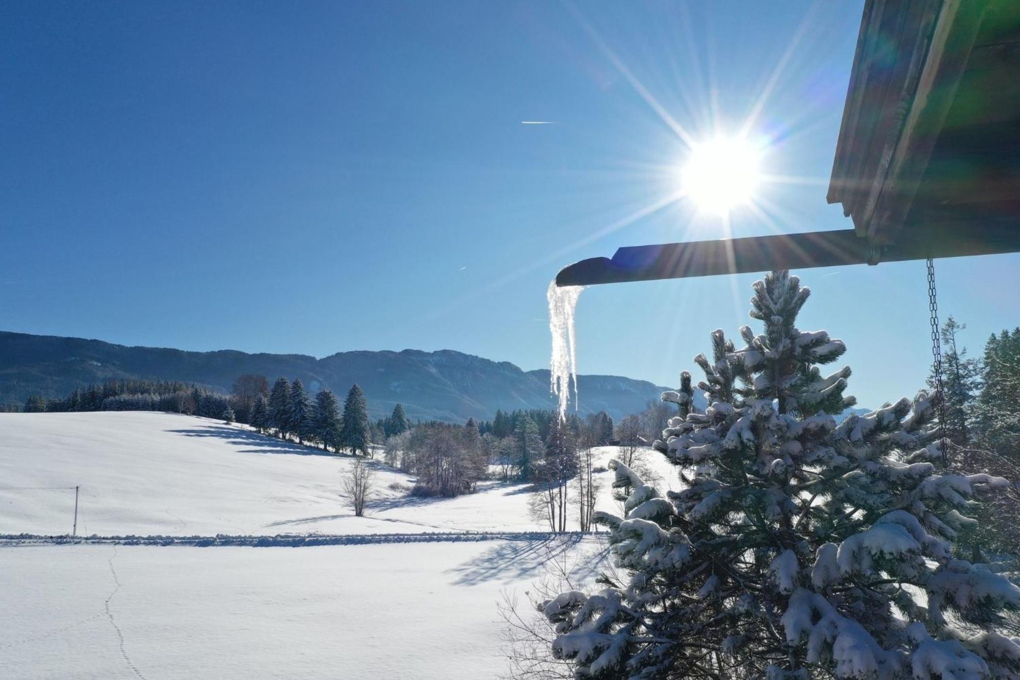 Appartement Hochwildfeuerberg ชไตน์กาเดน ภายนอก รูปภาพ